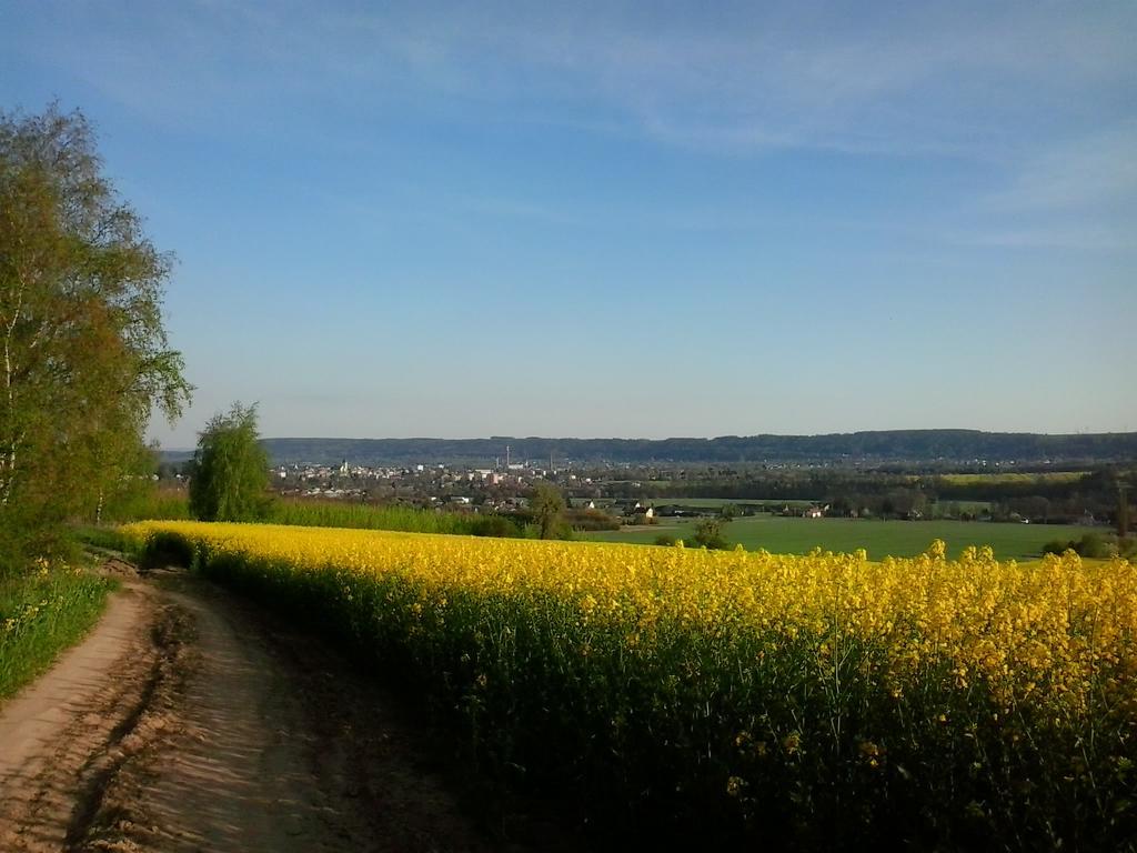 Penzion Hotelu Central Dvůr Králové nad Labem Exteriör bild